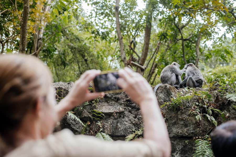 Ubud: Monkey Forest, Ceking Rice Terraces and More– Full Day - How the Ubud Day Route Works from Pickup to Drop-Off