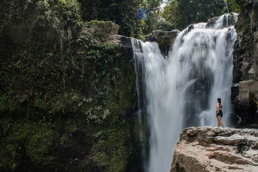 Ubud: Monkey Forest, Ceking Rice Terraces and More– Full Day - Sacred Monkey Forest Sanctuary: Up Close, Not Too Serious