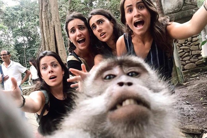 Ubud Monkey Forest, Holy Water Temple & Waterfalls Tours - Tirta Empul Temple: the Hindu water blessing and why it’s more than a photo stop