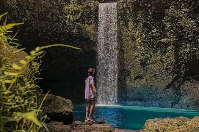 Ubud Monkey Forest, Holy Water Temple & Waterfalls Tours - Tegalalang Rice Terrace: irrigation know-how and viewpoint time you can actually use