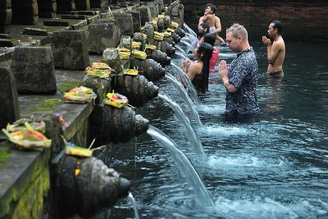 Ubud Monkey Forest Rice Terrace Temple Waterfall Private Tour - Sacred Monkey Forest Sanctuary: macacues, the dragon bridge, and guide tips