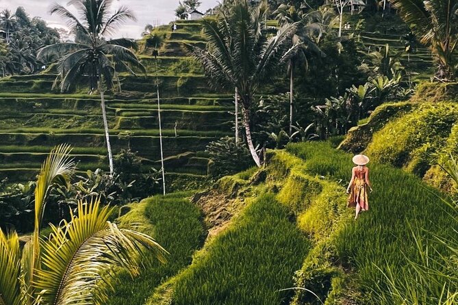 Ubud Monkey Forest, Rice Terrace & Tirta Empul Temple Tour - Key things that make this Ubud tour worth your time