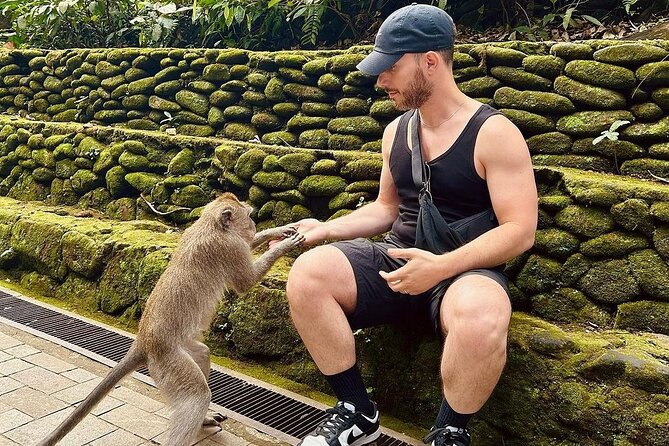 Ubud Monkey Forest, Rice Terrace & Tirta Empul Temple Tour - Tegalalang Rice Terrace: the views are famous for a reason