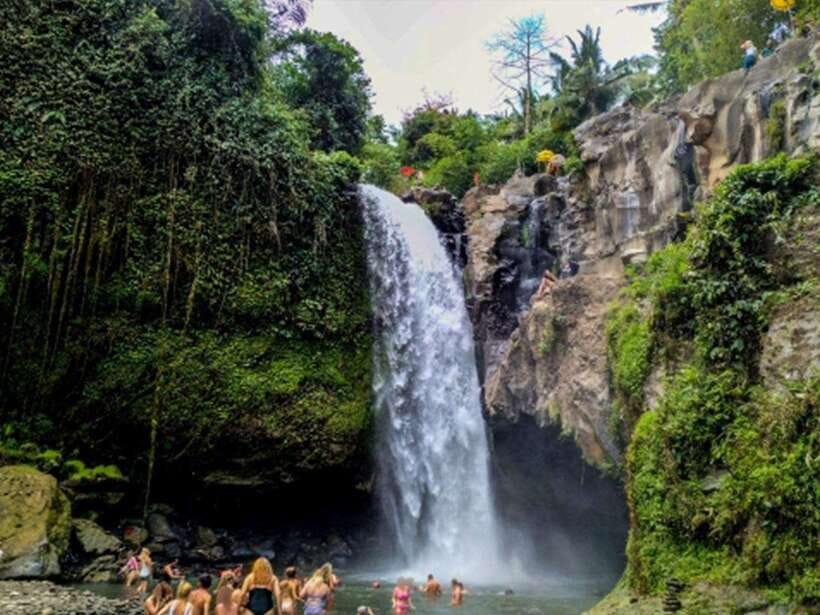 Ubud : Monkey Forest, Rice Terrace, Waterfall / Private Tour - Ubud’s palace and market: culture and shopping without the long detours