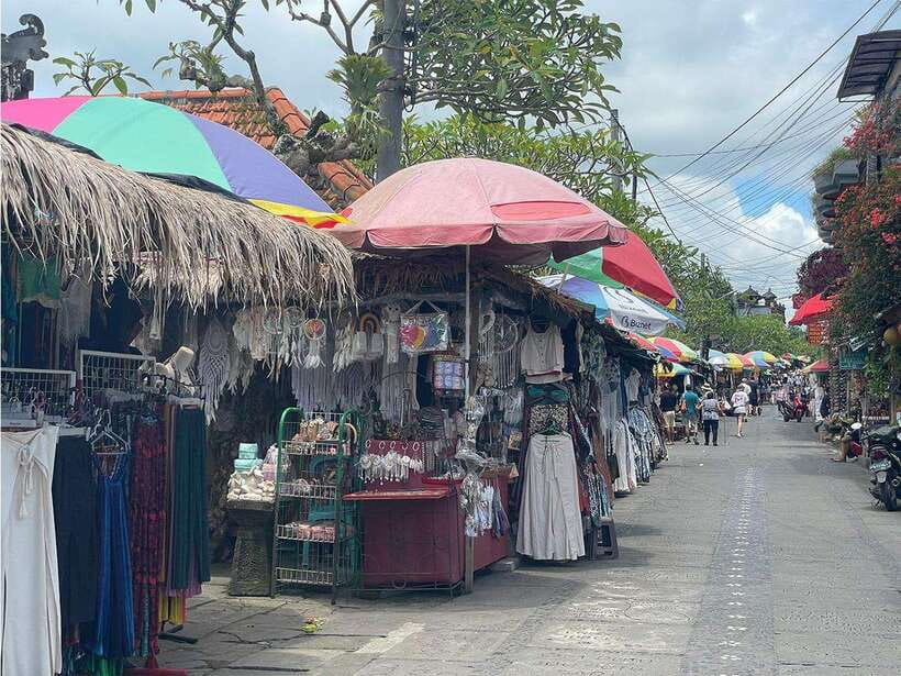 Ubud : Monkey Forest, Rice Terrace, Waterfall / Private Tour - What you actually get for the price (and where the extras show up)