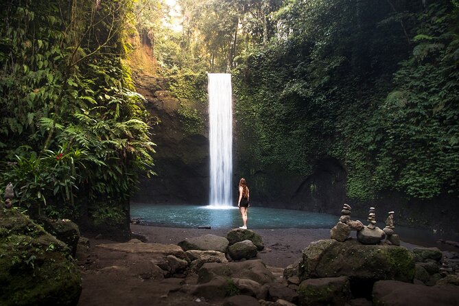 Ubud : Monkey Forest, Rice Terrace, Waterfall, Swing - Key highlights at a glance