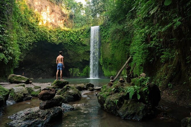 Ubud: Monkey Forest, Rice Terraces and Jungle Swing Tour - Tirta Empul Holy Water Temple: Purification Springs That Don’t Feel Like a Quick Stop