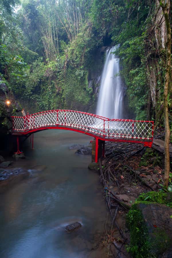 Ubud:Monkey Forest, Rice Terraces, Water Temples, Waterfalls - Key highlights to know before you go