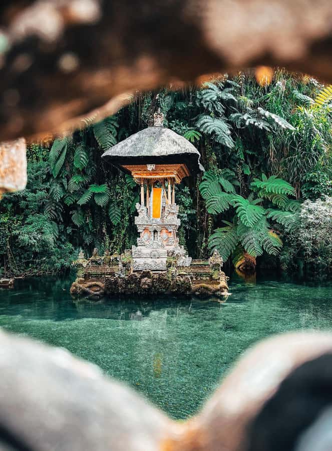 Ubud:Monkey Forest, Rice Terraces, Water Temples, Waterfalls - Tegalalang Rice Terraces: viewpoints, photos, and optional zip line energy