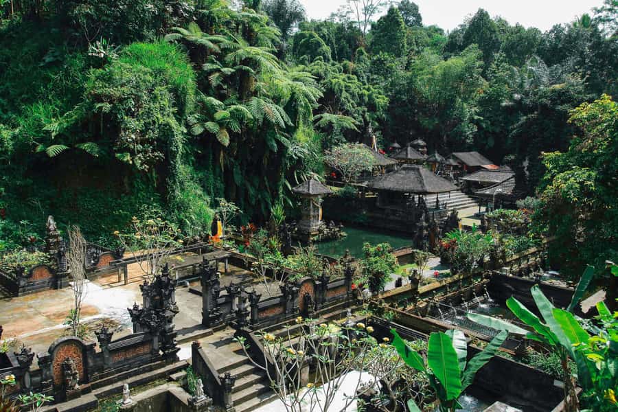 Ubud:Monkey Forest, Rice Terraces, Water Temples, Waterfalls - Ulu Petanu Waterfall: the quiet finale after the busy sights