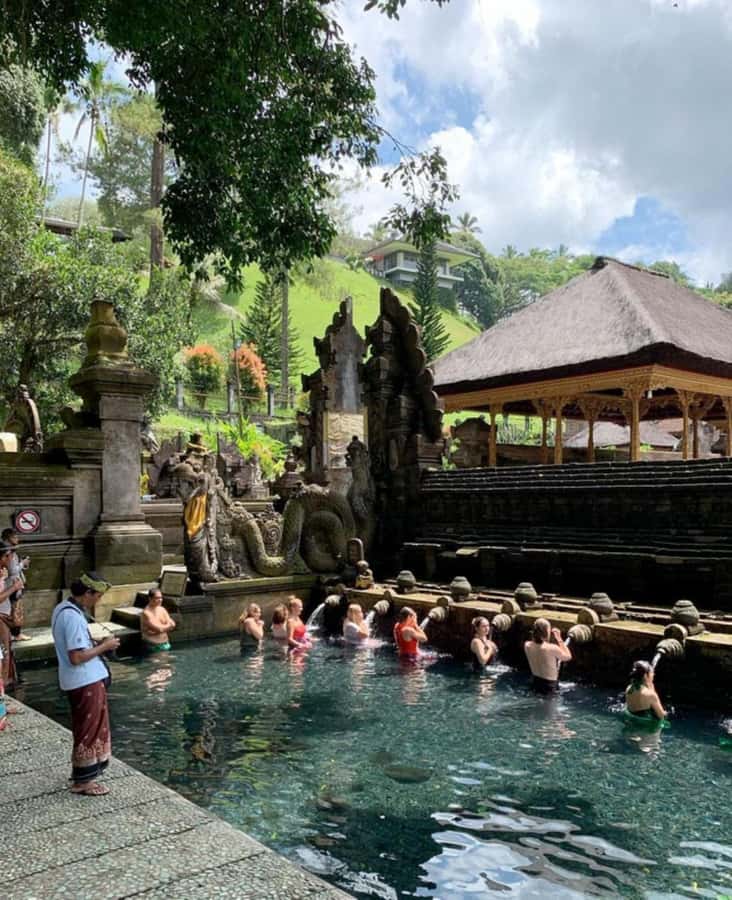 Ubud, Monkey forest, Riceterace Waterfall, Purification - Private Transport and an English-Speaking Driver Who Works Like a Guide