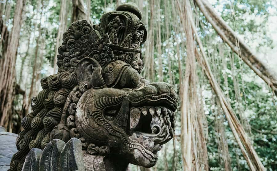 Ubud, Monkey forest, Riceterace Waterfall, Purification - Tegalalang Rice Terraces and Bali Swing: Iconic Views, Plus a Crowd Reality Check