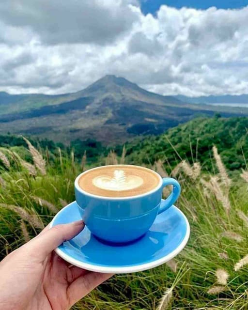 Ubud, Monkey forest, Riceterace Waterfall, Purification - Ulu Petanu Waterfall: A Break From Looking, and Time to Breathe