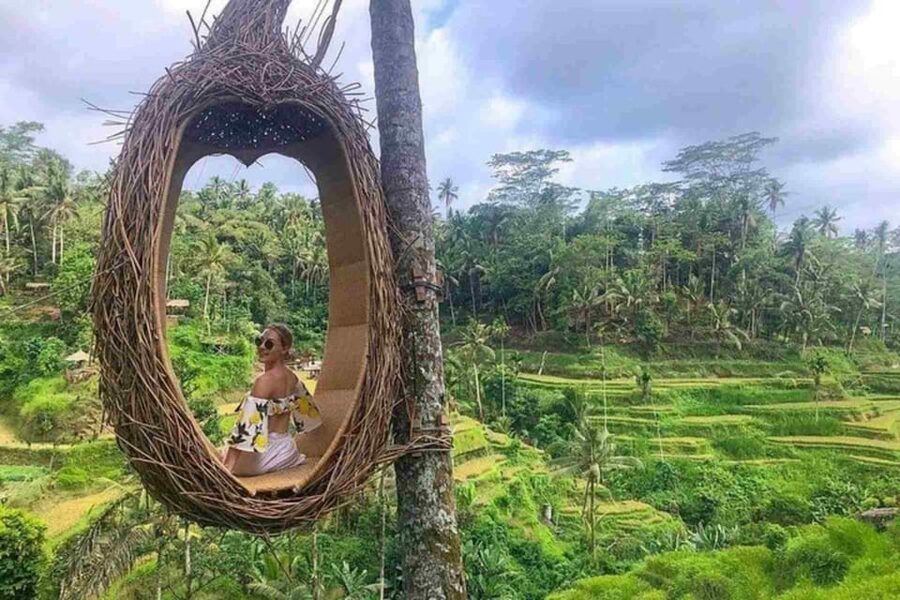 Ubud, Monkey forest, Riceterace Waterfall, Purification - Coffee Plantation and Local Tastings: More Than a Smell Stop