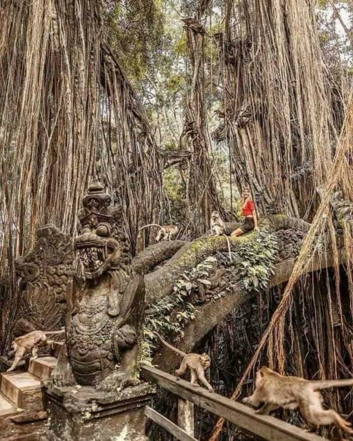Ubud, Monkey forest, Riceterace Waterfall, Purification - Arts and Crafts Market Visit: A Useful, Easy Way to Shop Locally