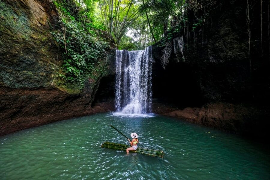 Ubud, Monkey forest, Riceterace Waterfall, Purification - Price and Value: What You’re Really Paying For