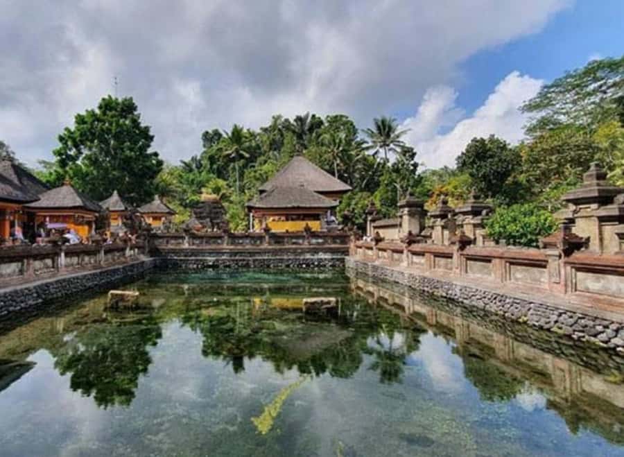 Ubud, Monkey forest, Riceterace Waterfall, Purification - The Monkey Forest Stop: Safe, Respectful, and Actually Interesting