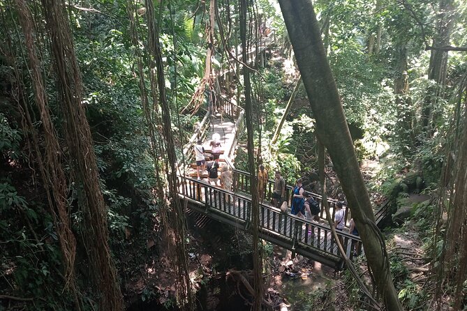 Ubud Monkey Forest Sanctuary Entrance Ticket All Inclusive - Price and Value: What $36.67 Covers and Why It’s Reasonable