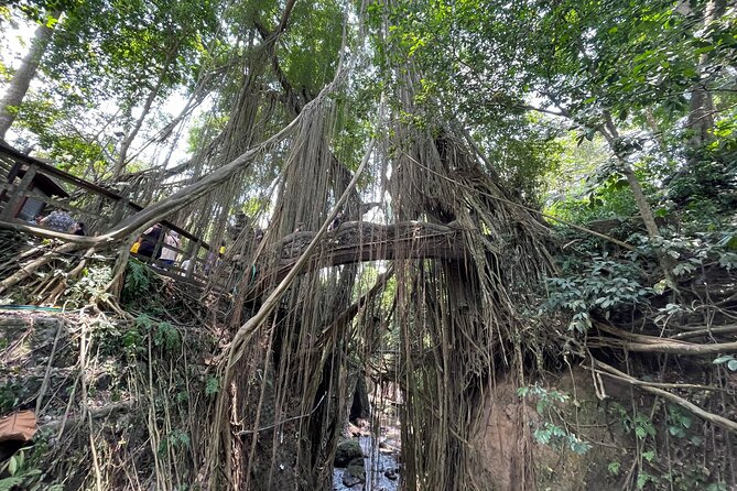 Ubud Monkey Forest Sanctuary Entrance Ticket All Inclusive - Monkey Forest Safety and Etiquette (So You Get Fun, Not Stress)
