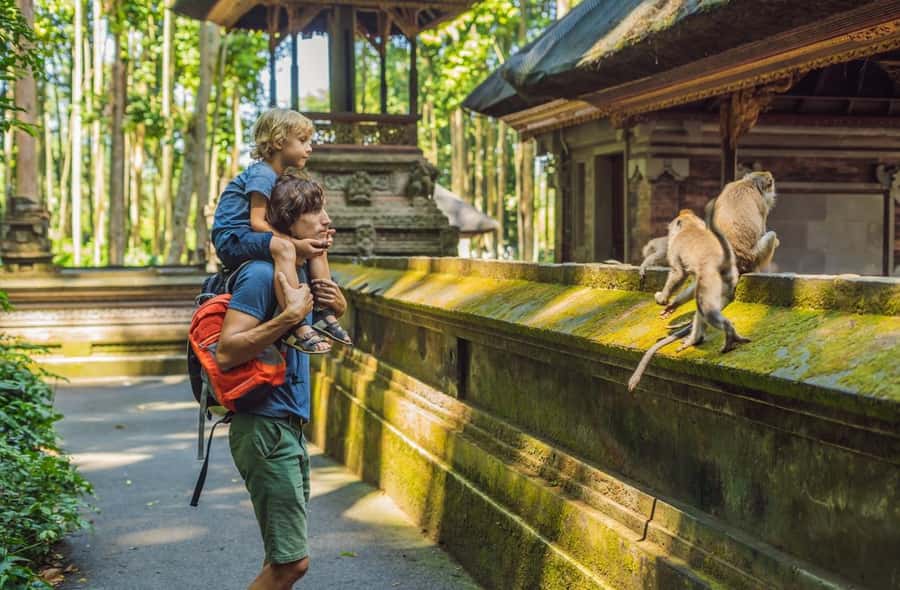 Ubud: Monkey Forest Sanctuary & Jungle Swing Tour - Tegalalang Rice Terraces and Ceking views: iconic scenery with real footing