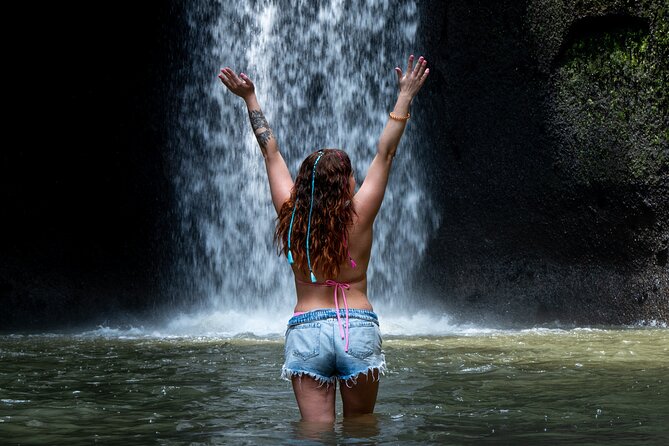 Ubud Monkey Forest, Scenic Rice Terrace with Swing and Waterfall - How a Monkey Forest to Waterfall Day Gets You More Ubud for Less Thinking