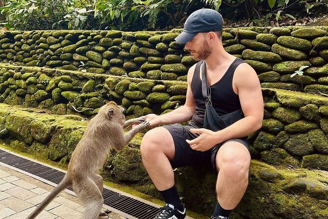 Ubud Monkey Forest, Scenic Rice Terrace with Swing and Waterfall - Local Food Moment: How the Best Lunch Isn’t Always the One With the Menu Photos