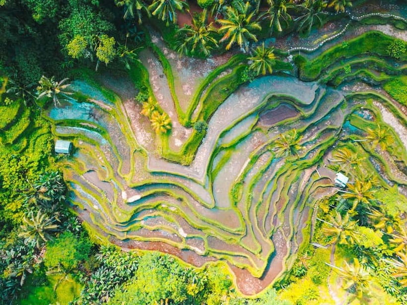 Ubud: Monkey Forest, Tegenungan Waterfall, and Rice Terraces - Ubud Art Market: souvenirs with enough personality to justify the time