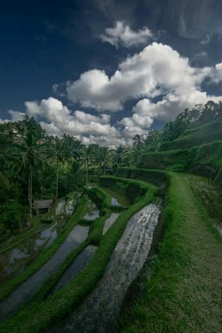 Ubud: Monkey Forest, Tegenungan Waterfall, and Rice Terraces - Tegallalang Rice Terraces: views that reward slow walking