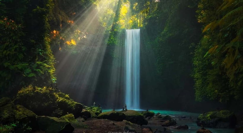 Ubud: Monkey Forest, Tegenungan Waterfall, and Rice Terraces - Price, comfort, and what’s actually included