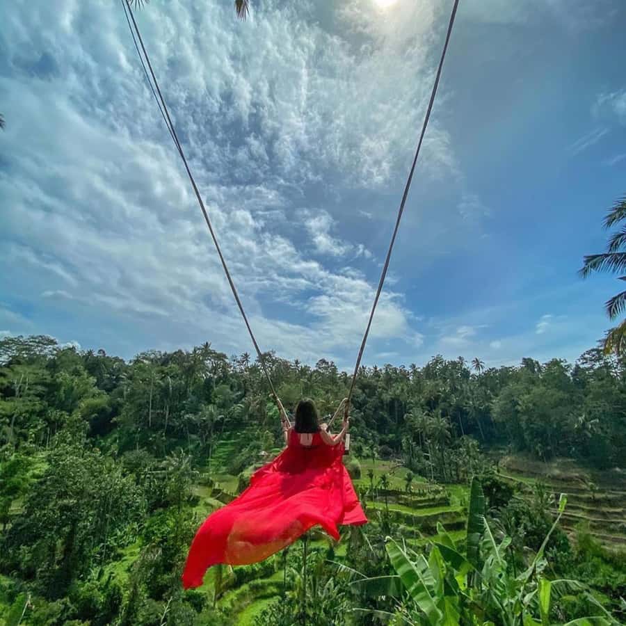 Ubud Monkey Forest, Temple, Rice Terrace and Waterfall Tour - How the 8-Hour Ubud Mix Really Works (and Why It’s Good Value)