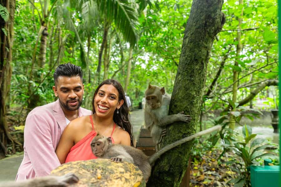 Ubud Monkey Forest, Temple, Rice Terrace and Waterfall Tour - Ulu Petanu Waterfall: A Reset After the Paddies
