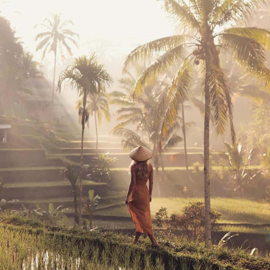Ubud Monkey Forest, Temple, Rice Terrace and Waterfall Tour - Sacred Monkey Forest Sanctuary: What You’ll See and How to Handle It