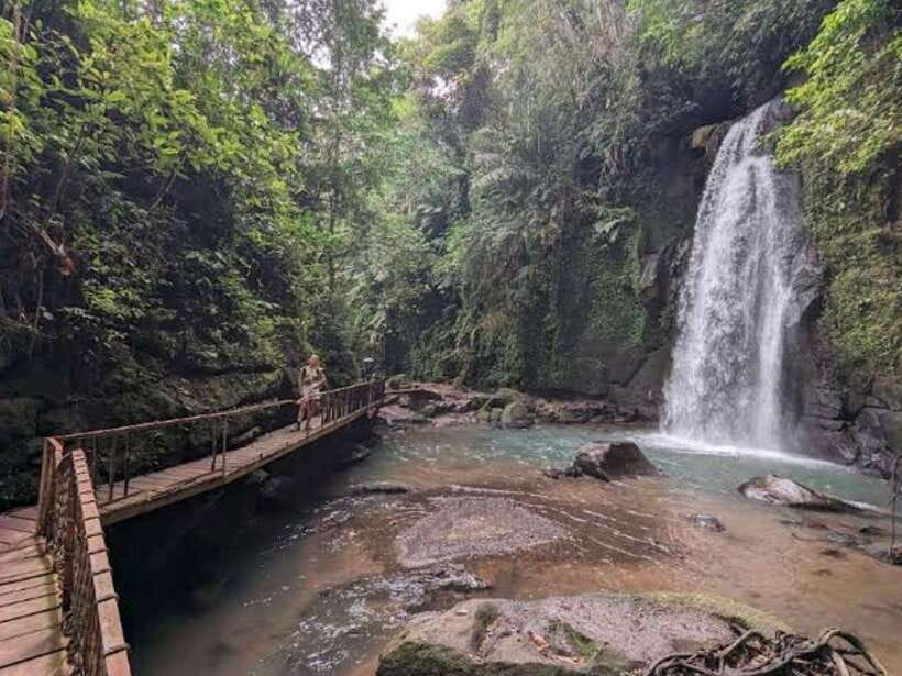 Ubud: Monkey Forest, Temple, Rice Terraces, Hidden Waterfall - A Ubud Day That Hits Wildlife, Water, and Temple in One Route