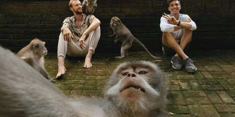 Ubud Monkey Forest, Waterfall, Temple and Rice Terrace Tour - Tegallalang Rice Terrace: Scenic Views Plus a Get-Off-the-Path Option