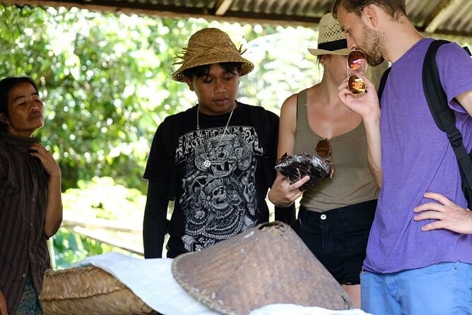 Ubud Off the Beaten Path – All-Inclusive Tour - Ulu Petanu Waterfall: a jungle walk with caves and river time