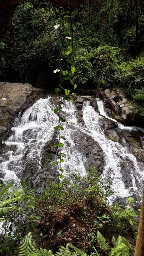 Ubud One Day Private Tour with Driver-Guide - Key Things You’ll Enjoy on This One-Day Ubud Tour