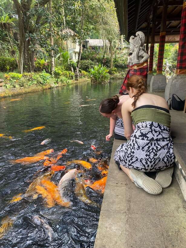 Ubud One Day Private Tour with Driver-Guide - Optional Add-Ons That Turn a Sightseeing Day Into an Adventure Day
