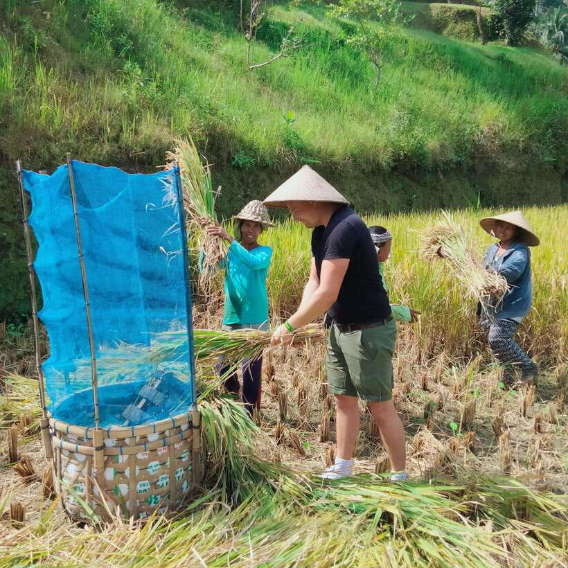 Ubud One Day Private Tour with Driver-Guide - Comfort Tips That Keep the Day Pleasant