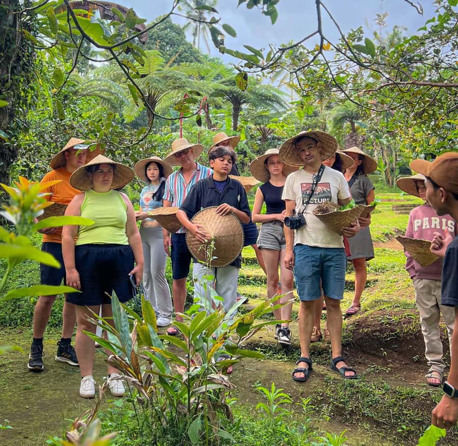 Ubud: Organic Farm Harvest, Bali Cooking Class by Pemulan - Ubud’s Market-and-Farm Setup That Makes the Cooking Click