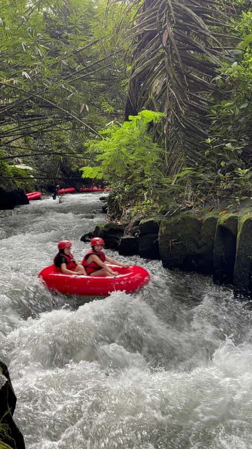 Ubud: Pakerisan Jungle River Tubing Adventure with Lunch - Who This Tour Fits Best (And Who Should Reconsider)