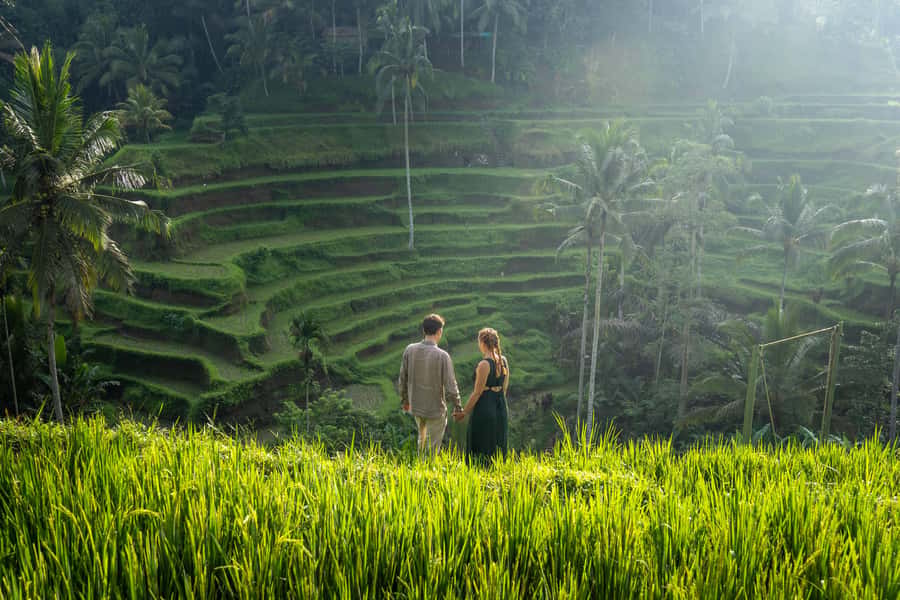 Ubud: Photography Private Tour Rice Terrace Waterfall Swing - Tegallalang Rice Terraces: Wide Views and Intimate Portraits