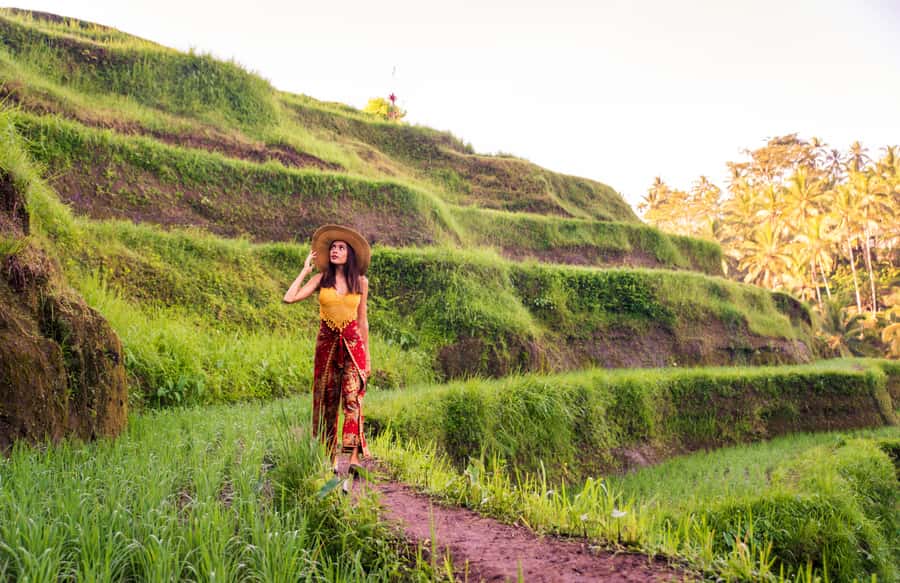 Ubud: Private All-Inclusive Tour with Lunch - Monkey Forest Sanctuary: seeing long-tailed macaques on their home turf