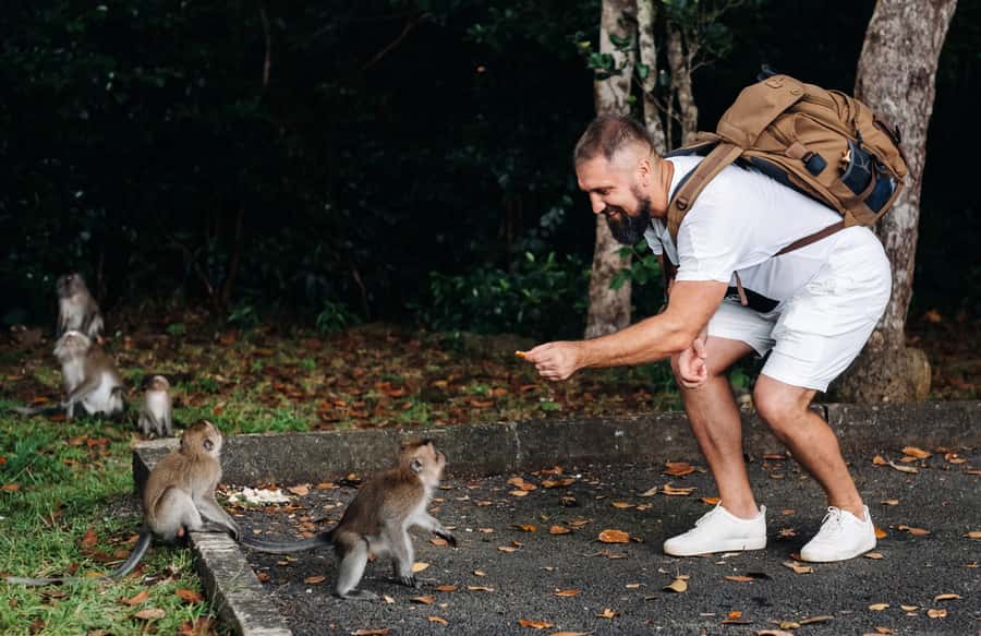 Ubud: Private All-Inclusive Tour with Lunch - Price and value: is $24 per person really fair?