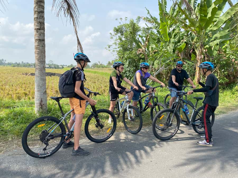 Ubud : PRIVATE Bike Tour inside Rice Field with meal & pool - Village Temple and Traditional Village Stops: Spiritual Places With Guidance