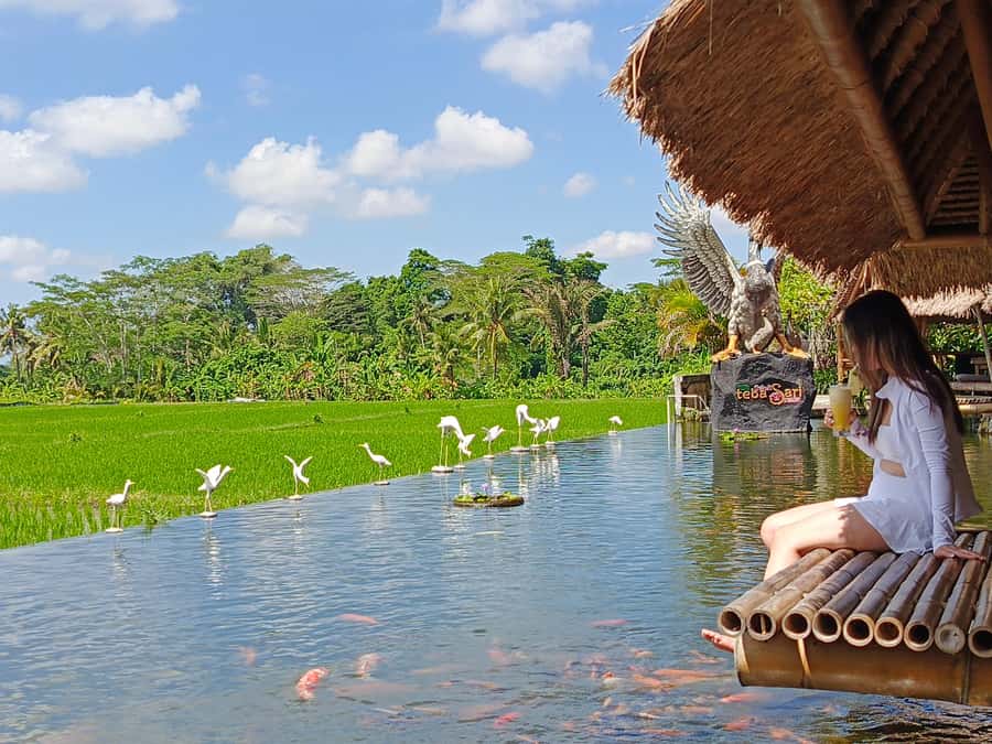 Ubud: Private Charter Car 10hours. - What your driver can help you do inside Ubud (temples, crafts, food, wellness)