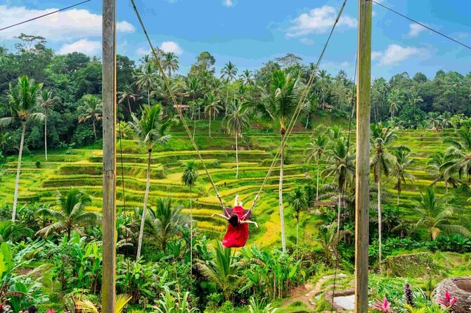 Ubud Private Chasing Waterfall and Water Temple Tour - Tirta Empul Temple: purification ritual with real meaning