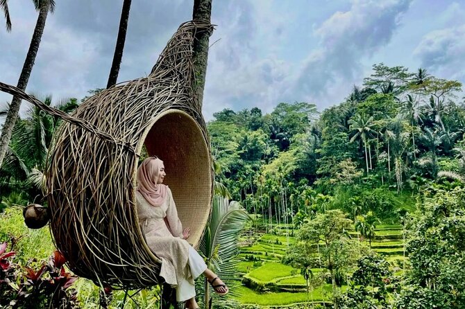 Ubud Private Chasing Waterfall and Water Temple Tour - Tegalalang Rice Terraces: your finishing photo session