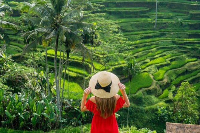 Ubud: Private Customized Highlights Tour - Tirta Empul and Sacred Purification Temples