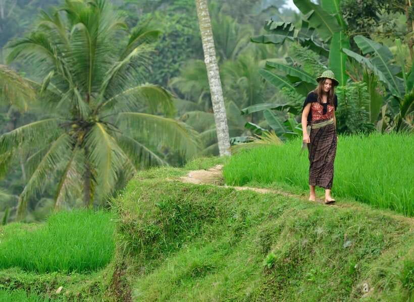 Ubud: Private Half-Day Tour with Rice Terrace & Waterfall - Key highlights worth planning around