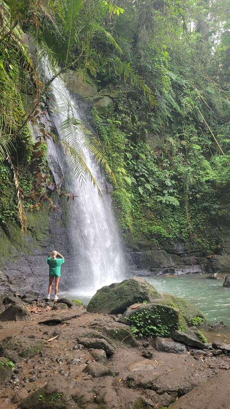 Ubud: Private Half-Day Tour with Rice Terrace & Waterfall - Should you book this Ubud Private Half-Day Tour?